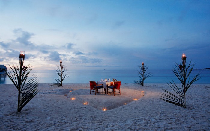 Sunbird Dreaming about romantic dinner on the beach custom pic 1