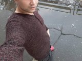 ilie2017