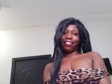 Ebonyperla