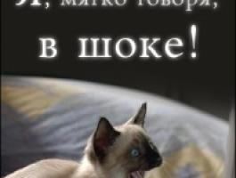 Мягко говоря. Мягко говоря в шоке. Мягко говоря я в шоке. Мягко сказано. Мягко говоря это как?.