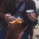 Like all girls I want someone to take care of me