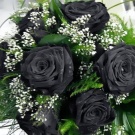 букет чёрных роз