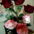 Layra69 wish list item 1 thumbnail