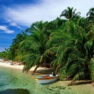 _Marengo_ wish list item 1 thumbnail