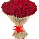 Кругосветное путушествие