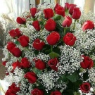 Unica-Tettona wish list item 2 thumbnail