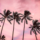 Holidays in Miami Beach